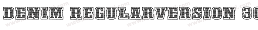 Denim RegularVersion 3000FEAKit 1字体转换